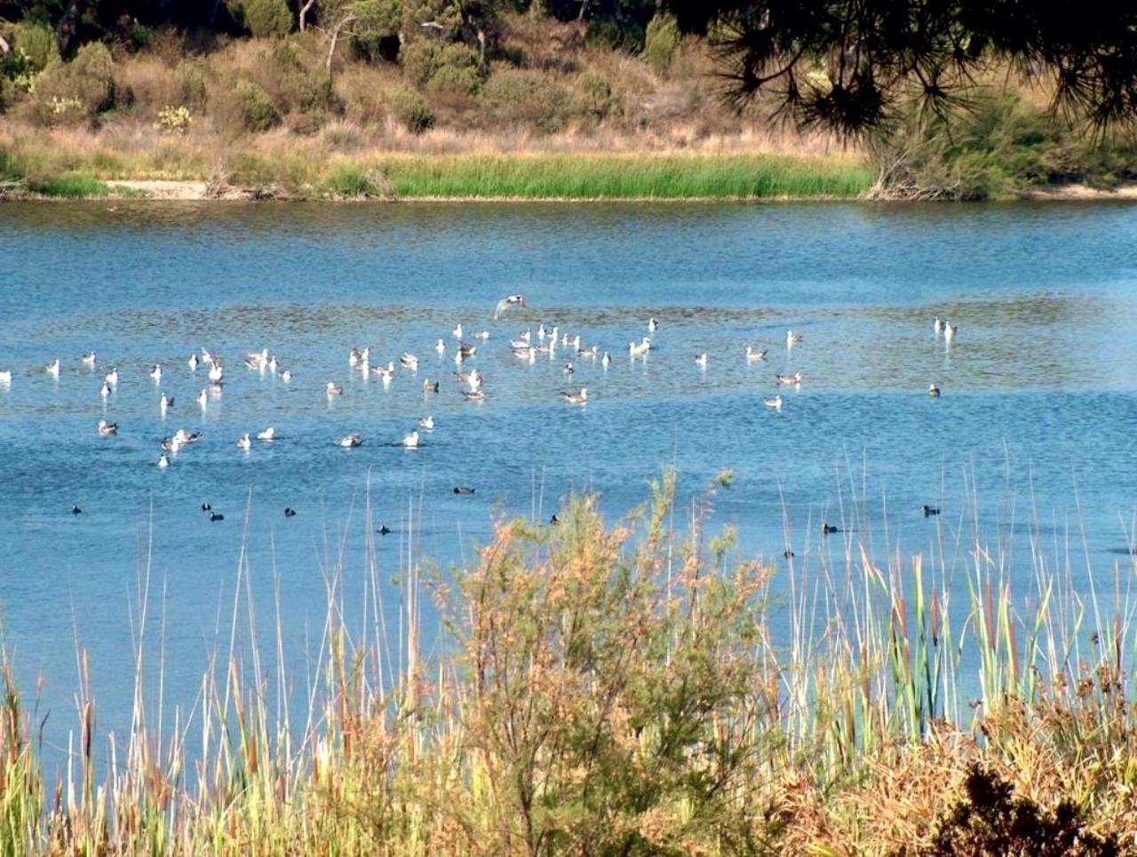 Paqo Lodge Laguna Del Portil, A 400 Metros De La Playa Екстер'єр фото